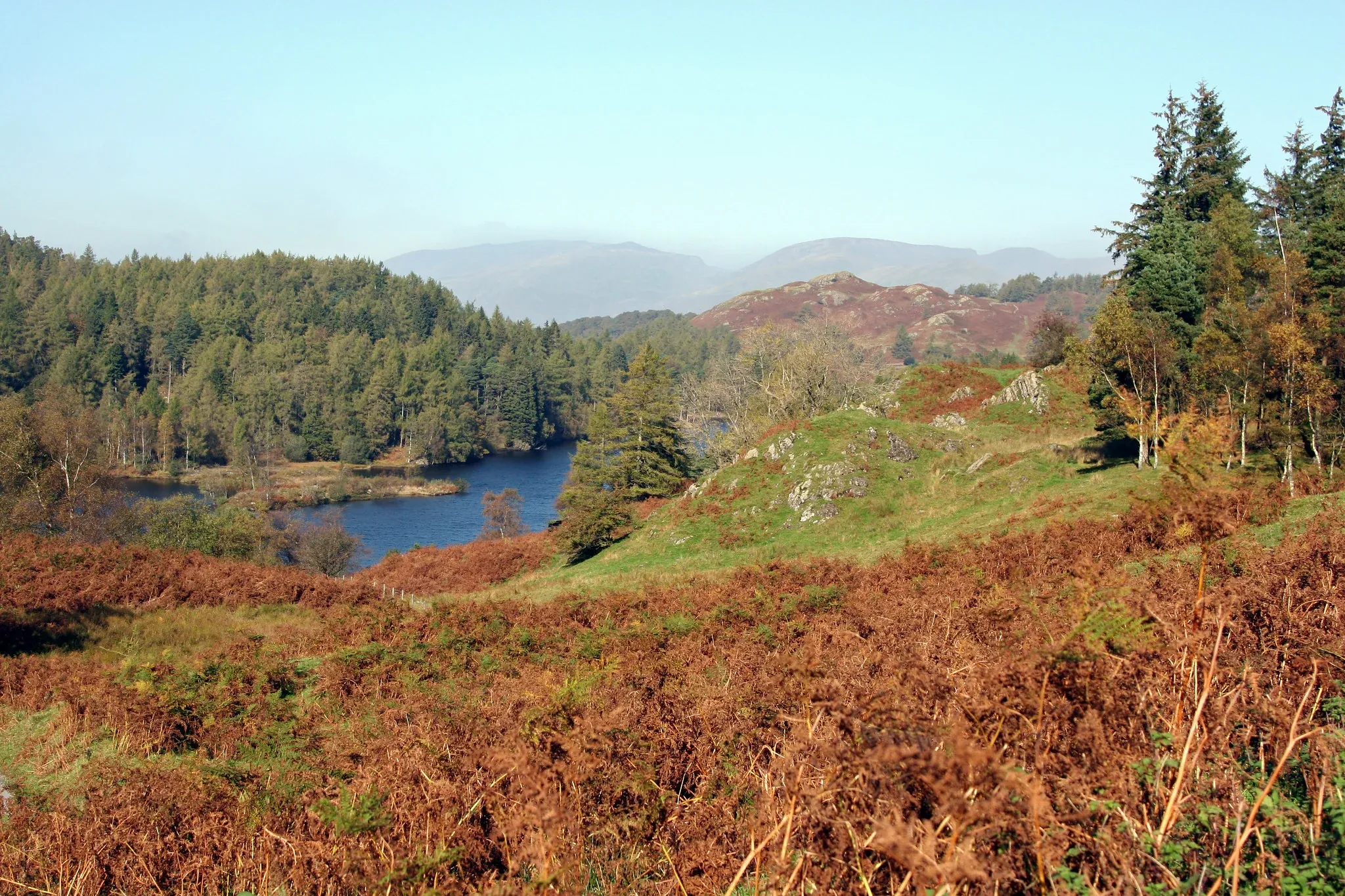 Tarn Hows lake surrounded by woodland in the Lake District