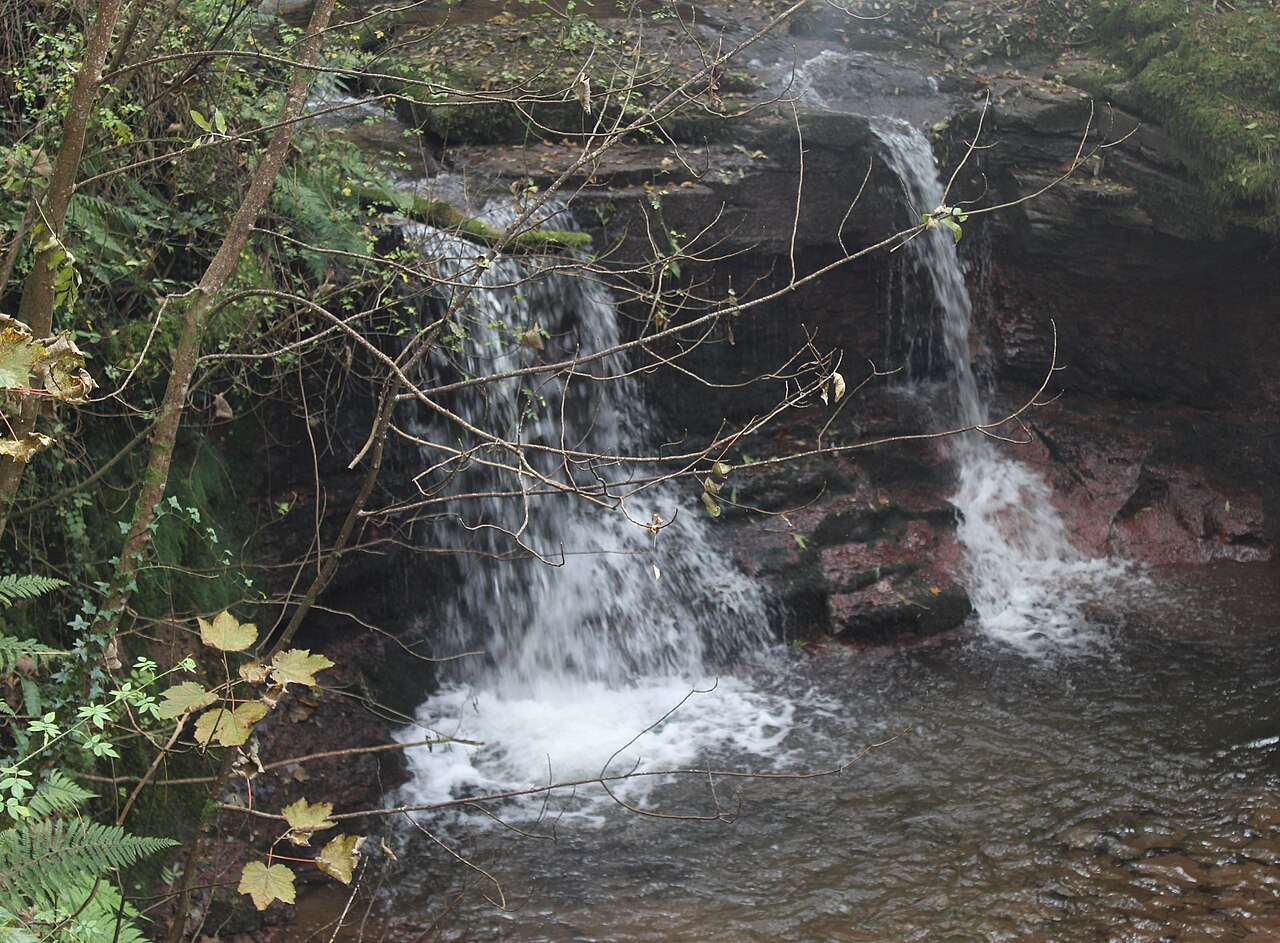 Pwll y Wrach Nature Reserve