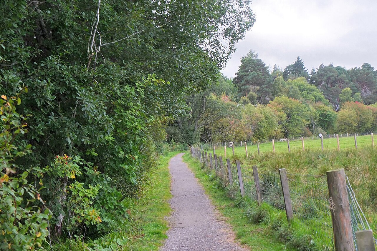Riverside Path