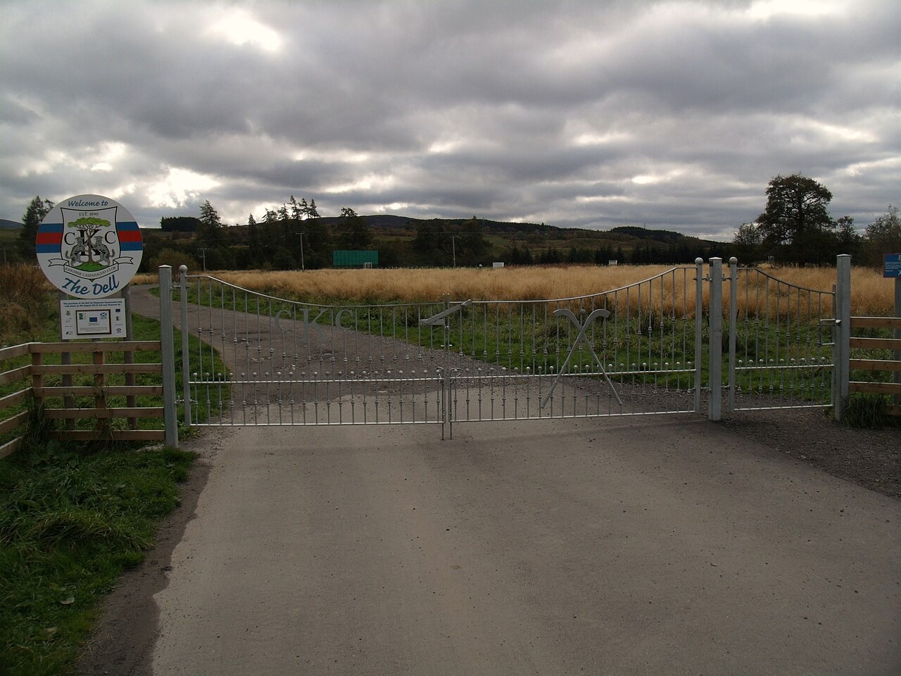 The Dell