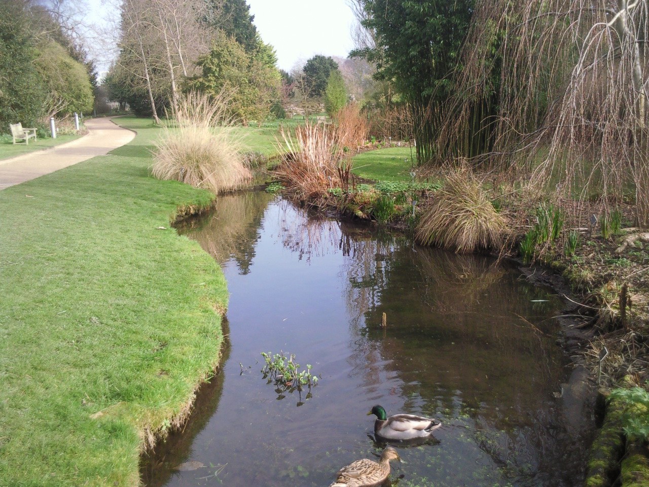 Cambridge University Botanic Garden