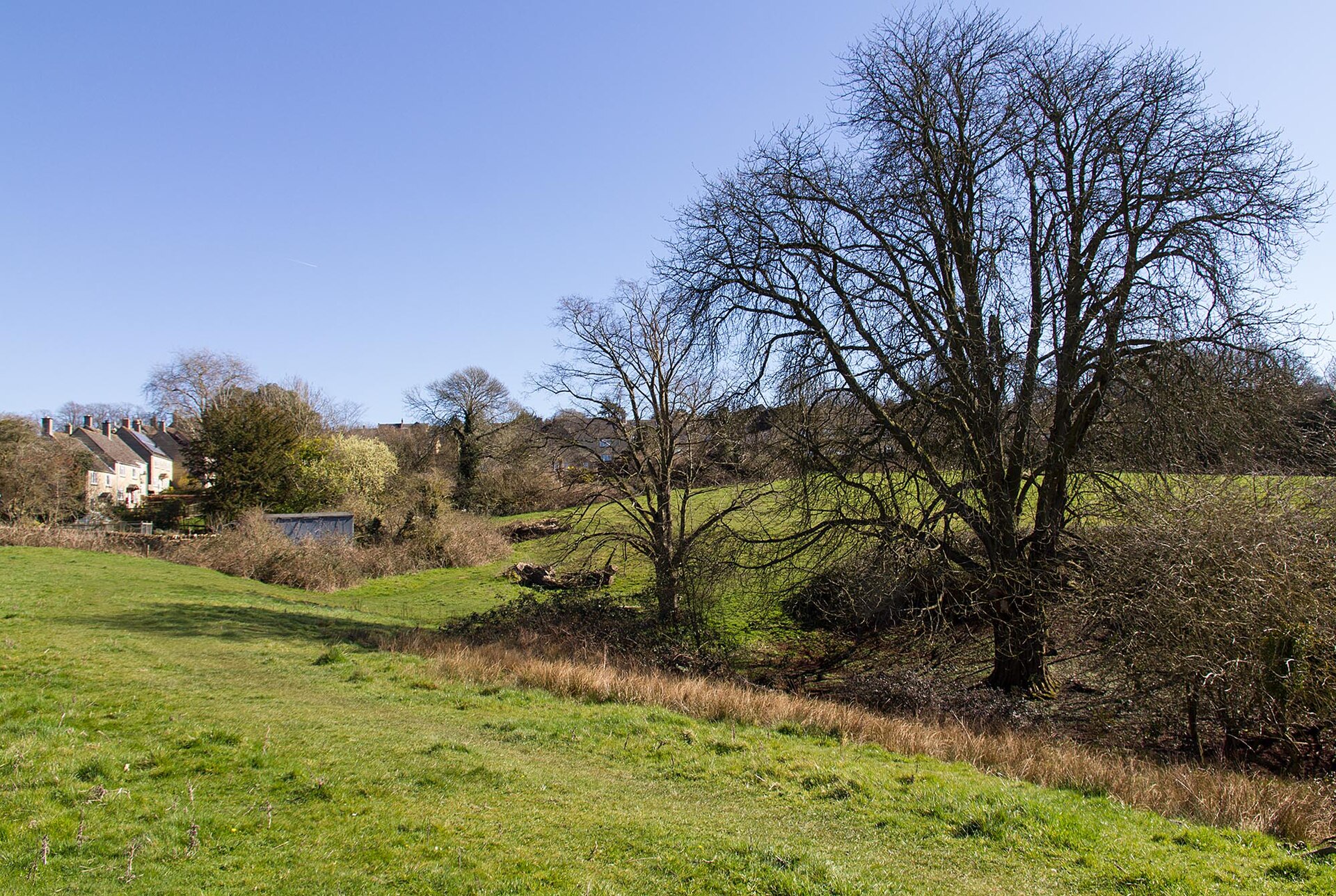 Grassy common below the town with trees and stone houses