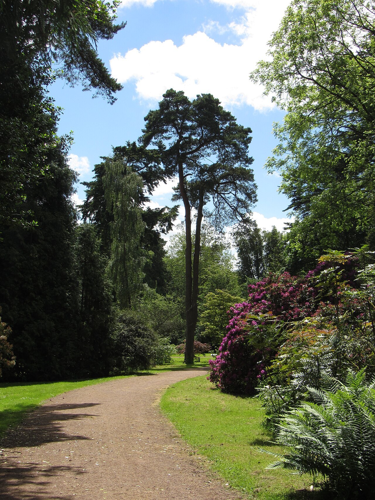 Westonbirt, the National Arboretum in Tetbury