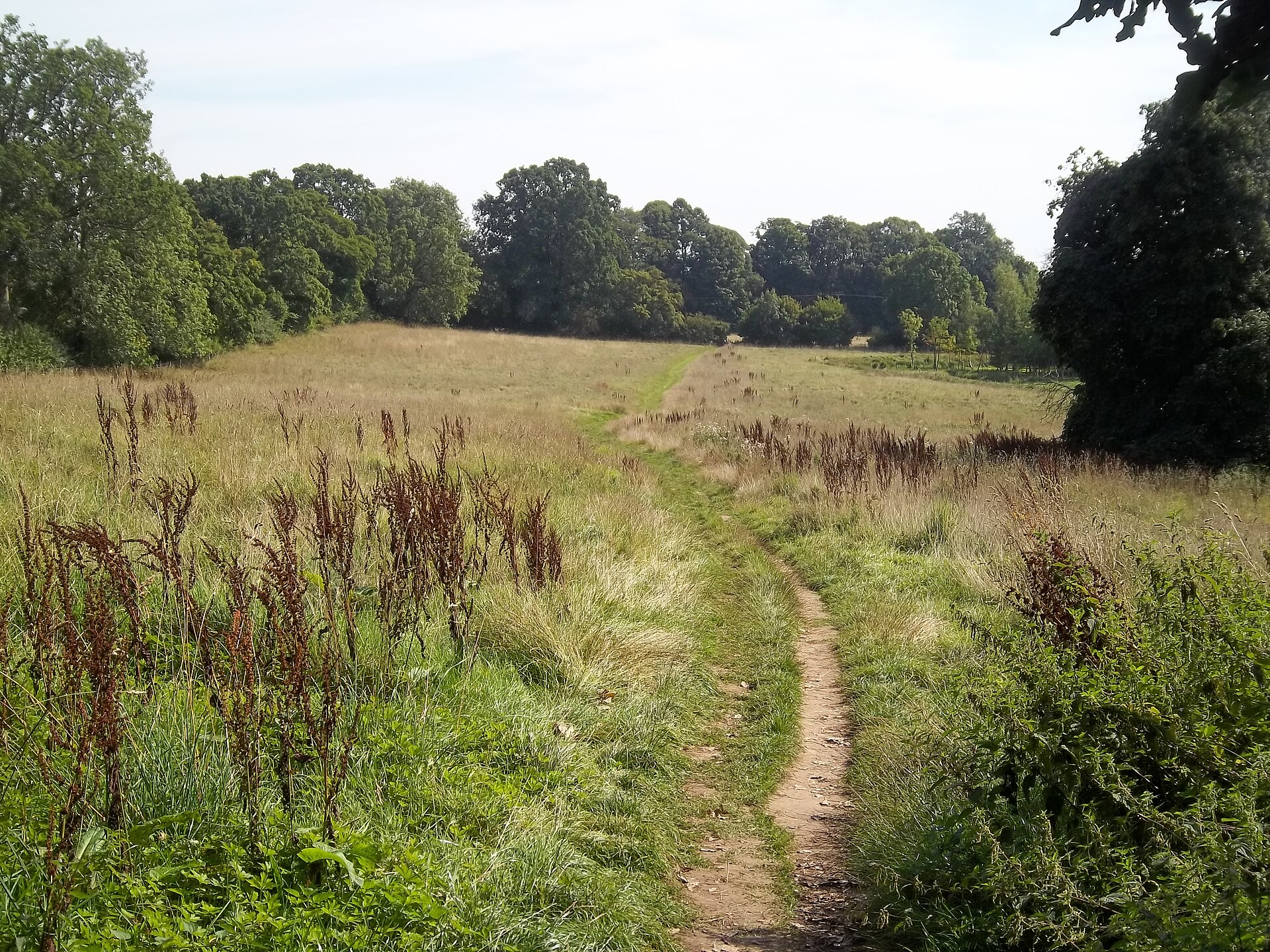 A broad grassy path between Upper and Lower Slaughter