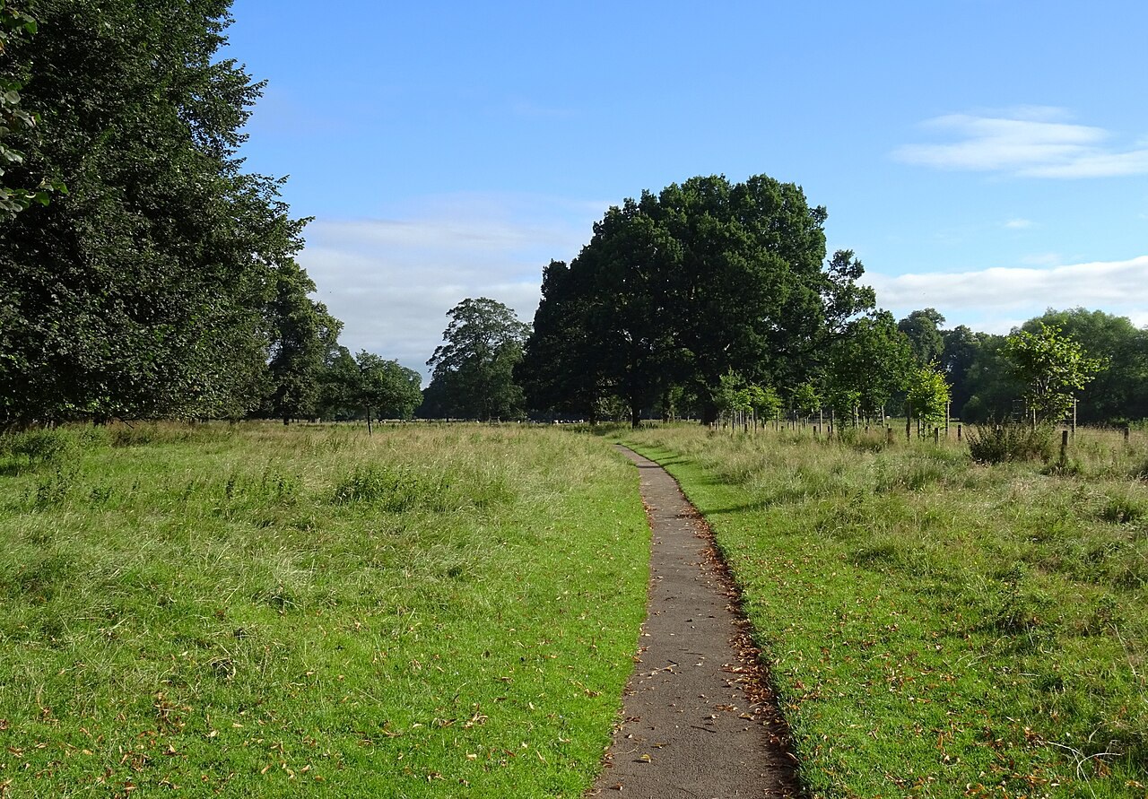Rickerby Park