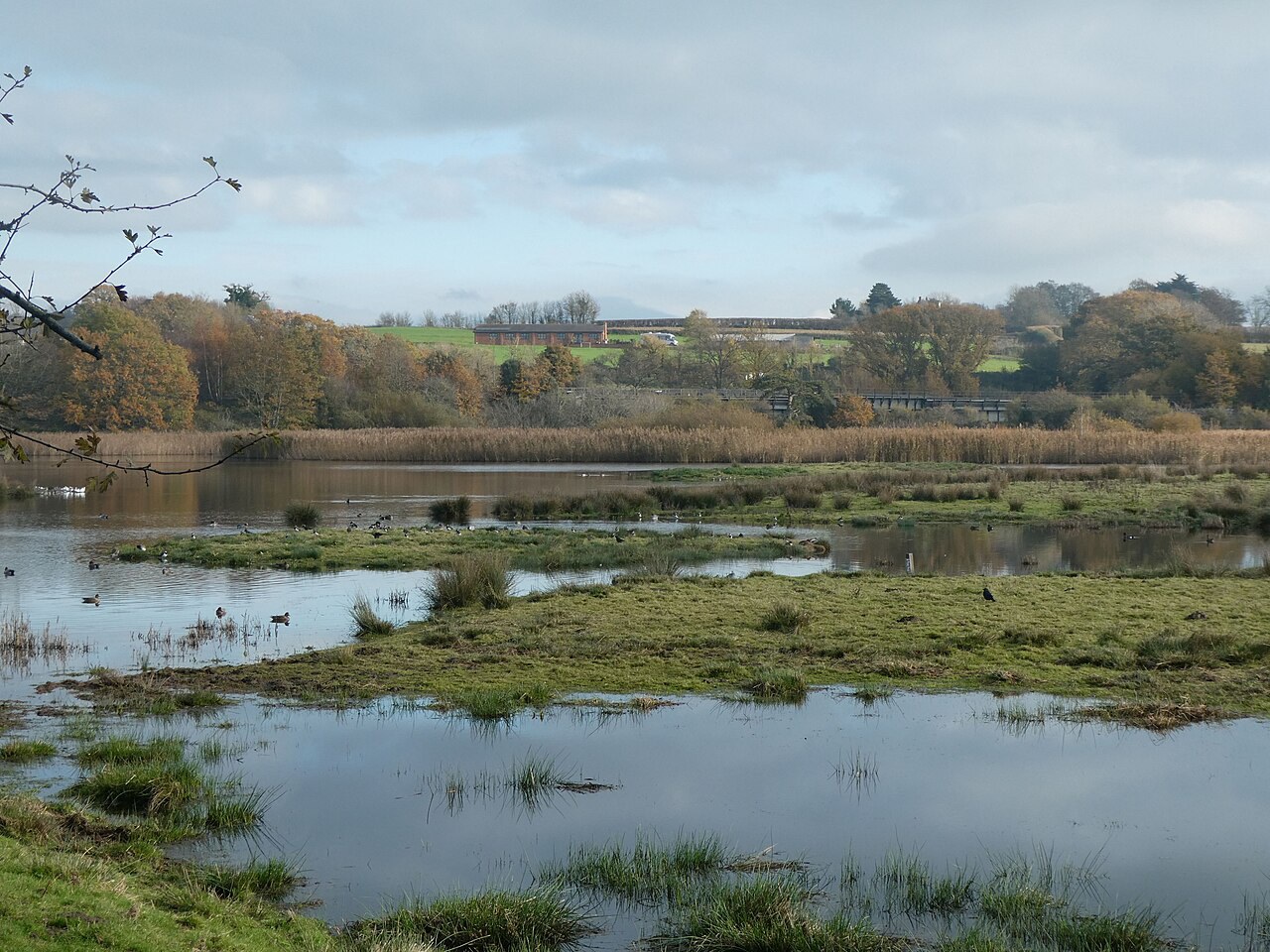 RSPB Bowling Green Marsh