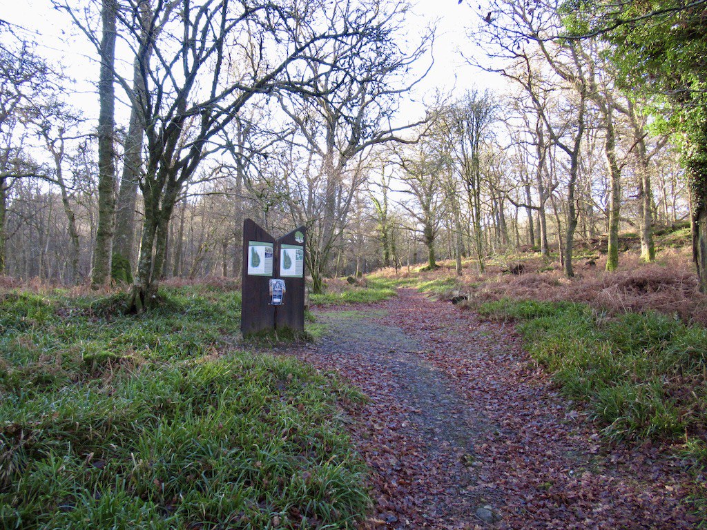 Inchcailloch