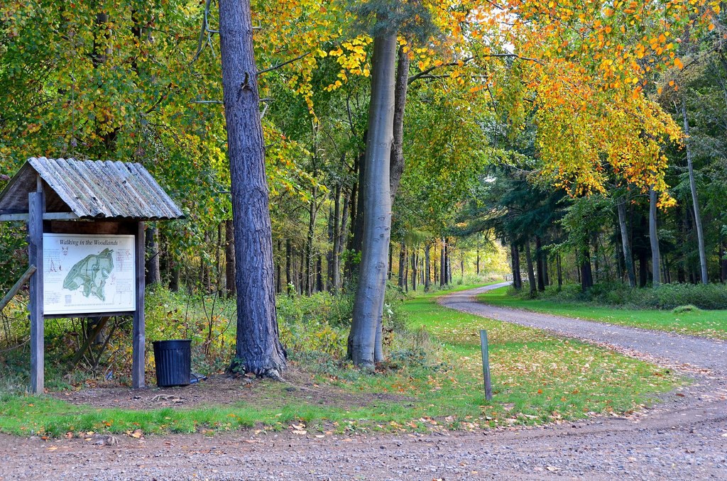 Dalkeith Country Park