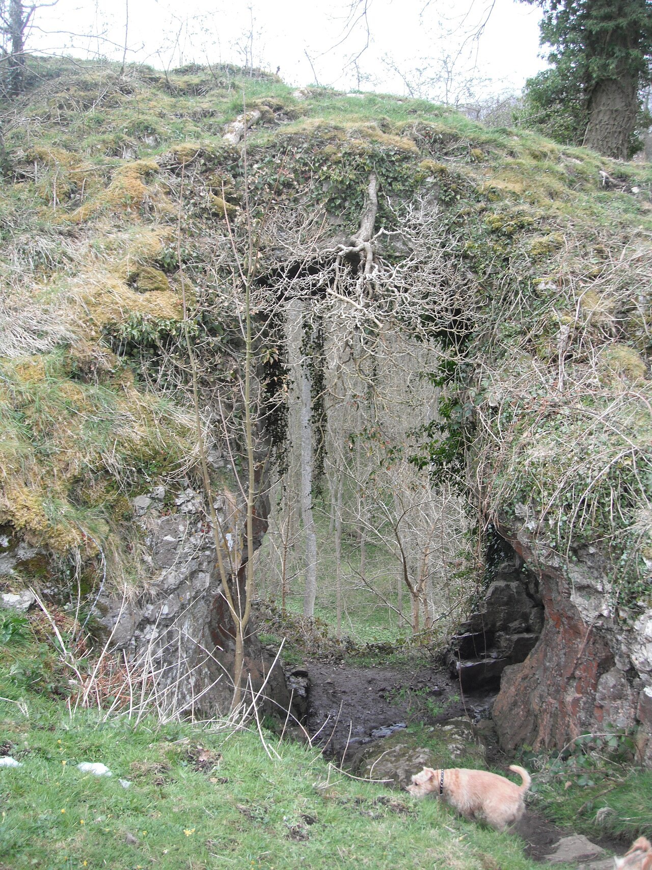 Cucklet Delph in Eyam
