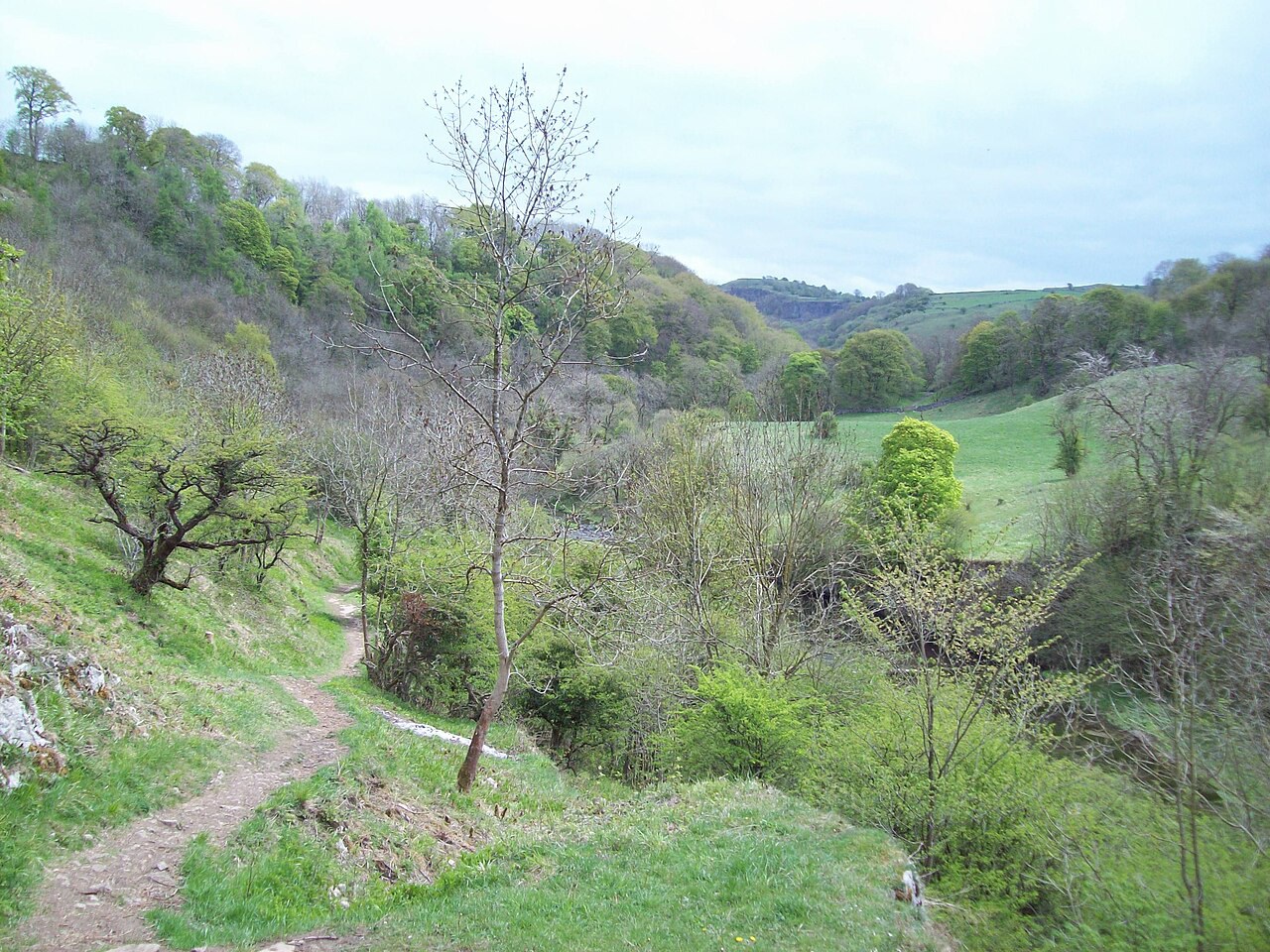 Chee Dale in Wormhill