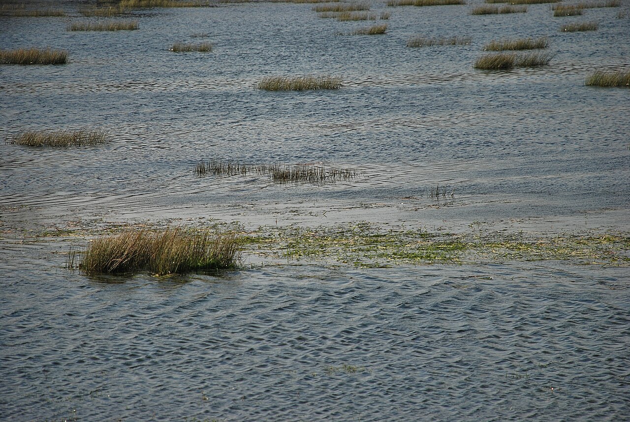 Amberley Wild Brooks