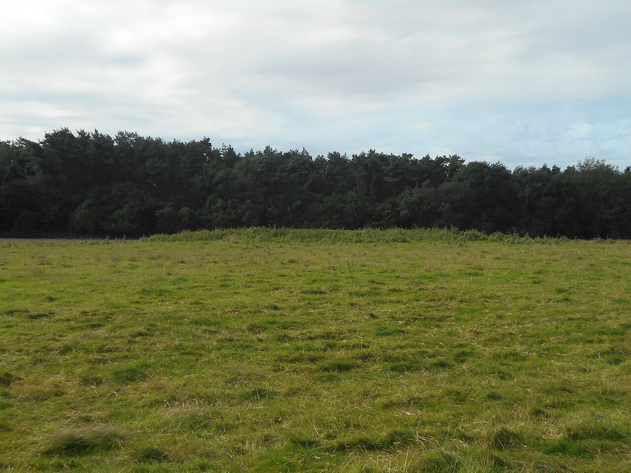 Bepton Down