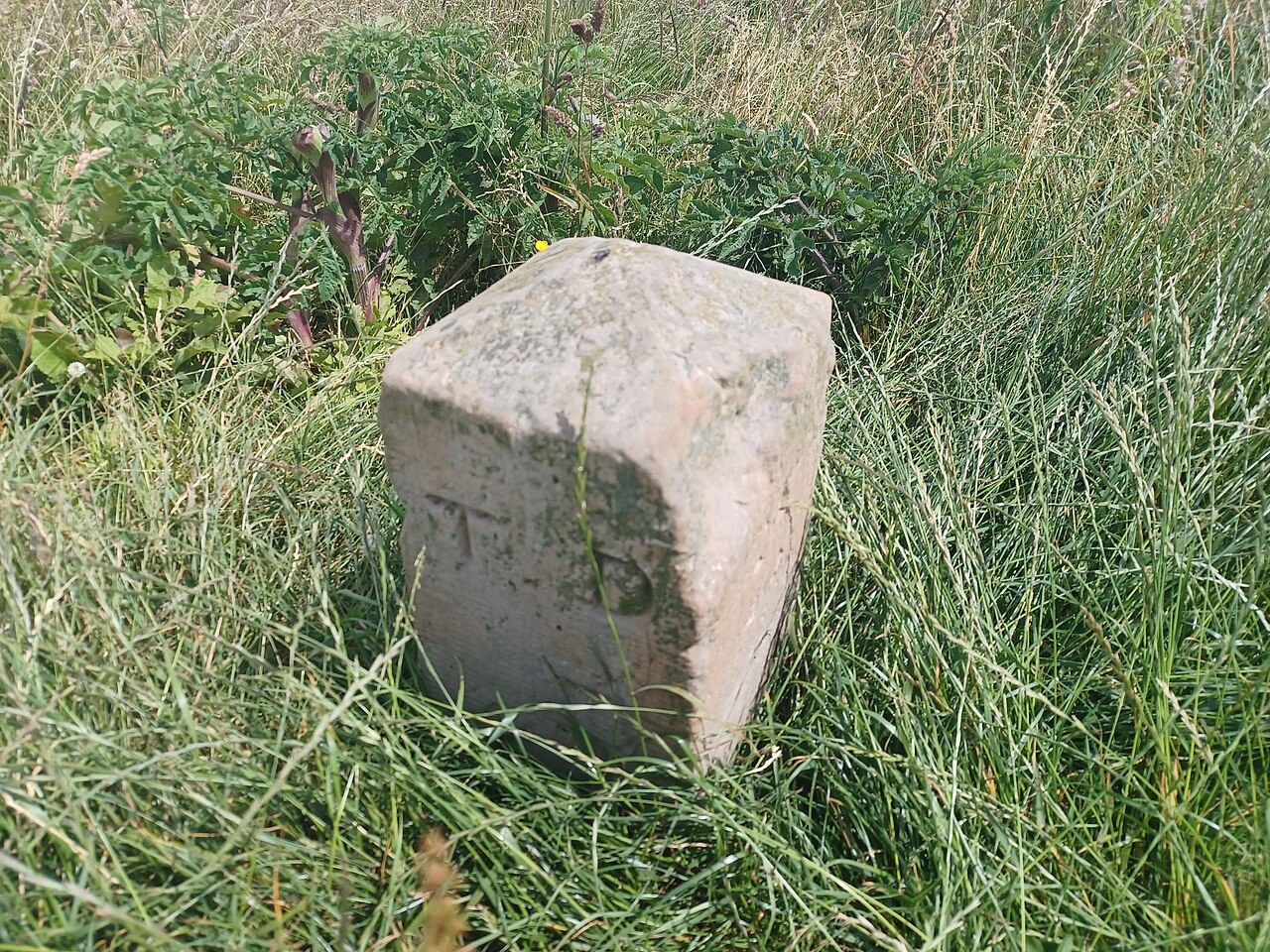 Ditchling Beacon