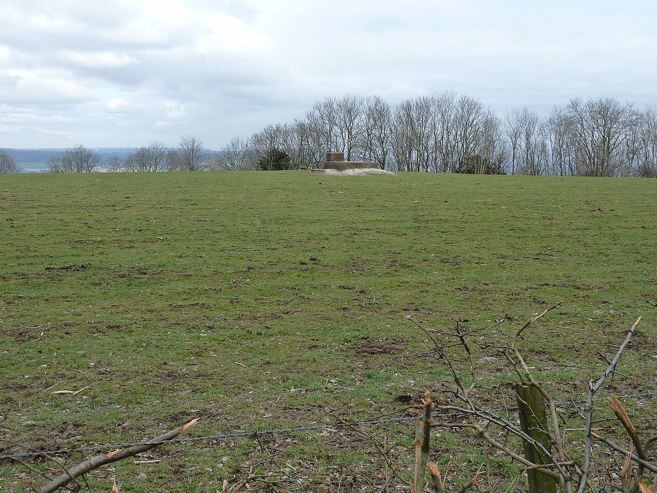Heyshott Down