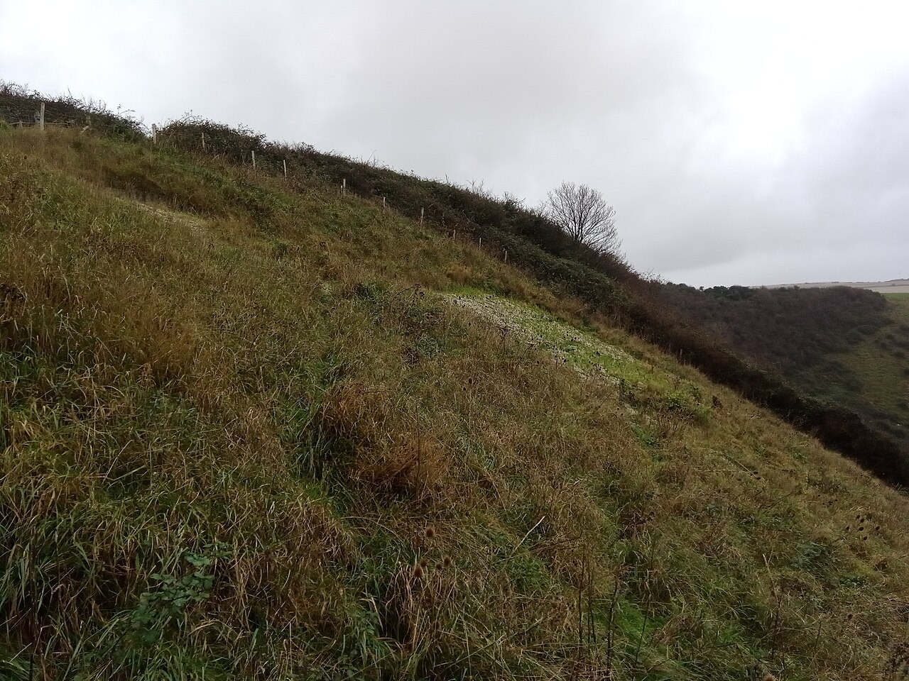 Litlington White Horse in Litlington