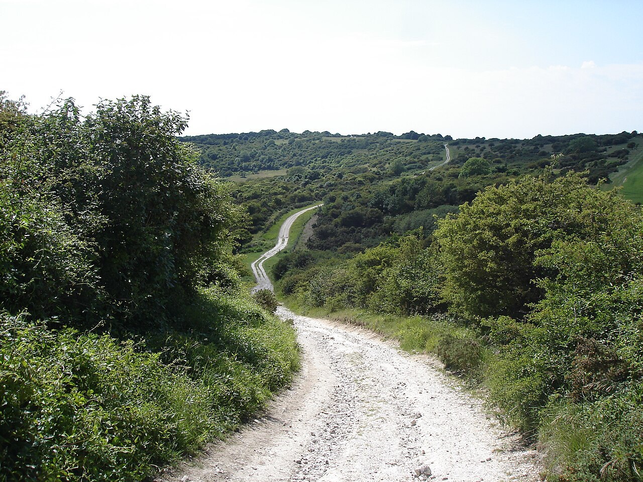 Lullington Heath