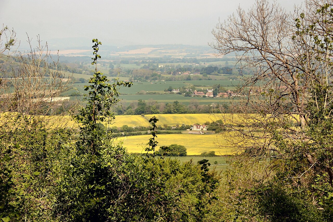Bignor Hill