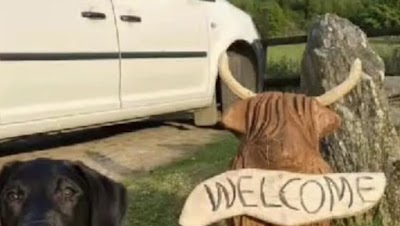 Aberdeenshire dog park (Feath - Dog Park and Agility)