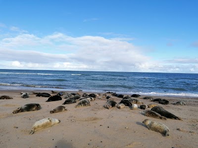 Norfolk Coast National Landscape
