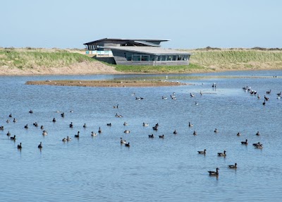 RSPB Titchwell Marsh