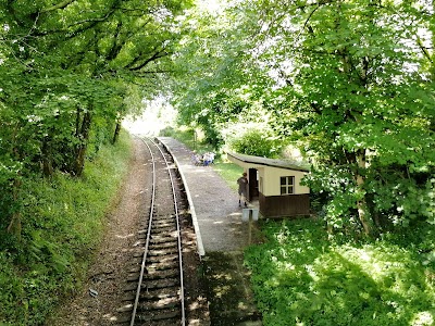Colesloggett Halt