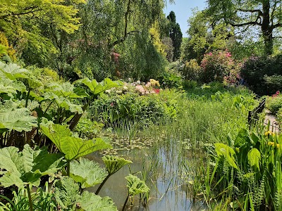 Fletcher Moss Botanical Gardens