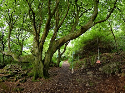 Cairnmore Woods Port Ellen