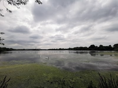 Attenborough Nature Reserve