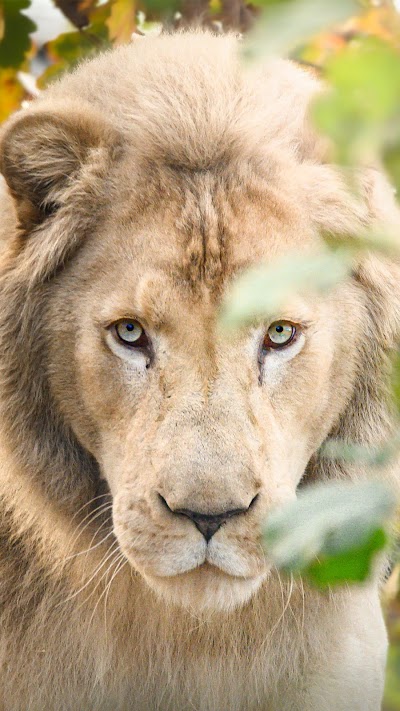 Lincolnshire Wildlife Park