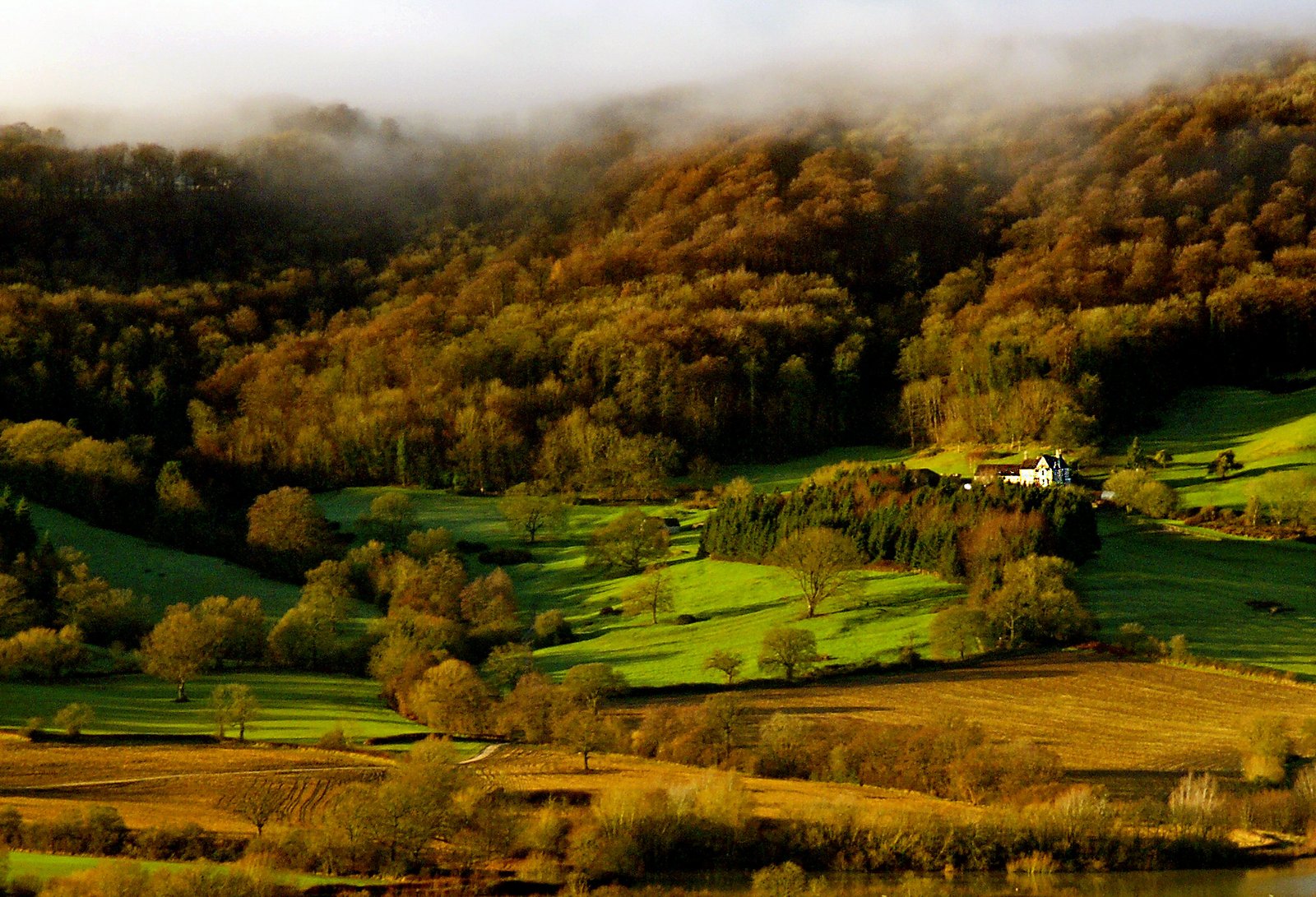 Beyond the Postcards: 5 Unforgettable Family Adventures in the Cotswolds