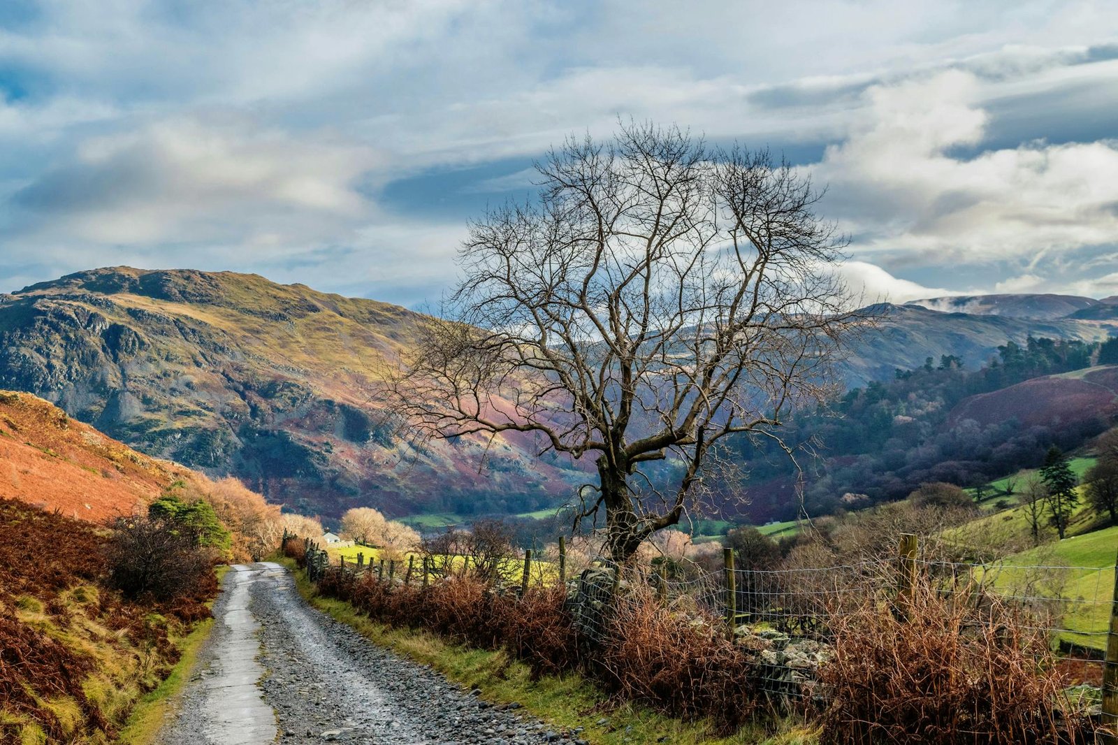 Who Is the Modern Cumbrian Tourist - And How to Attract Them!